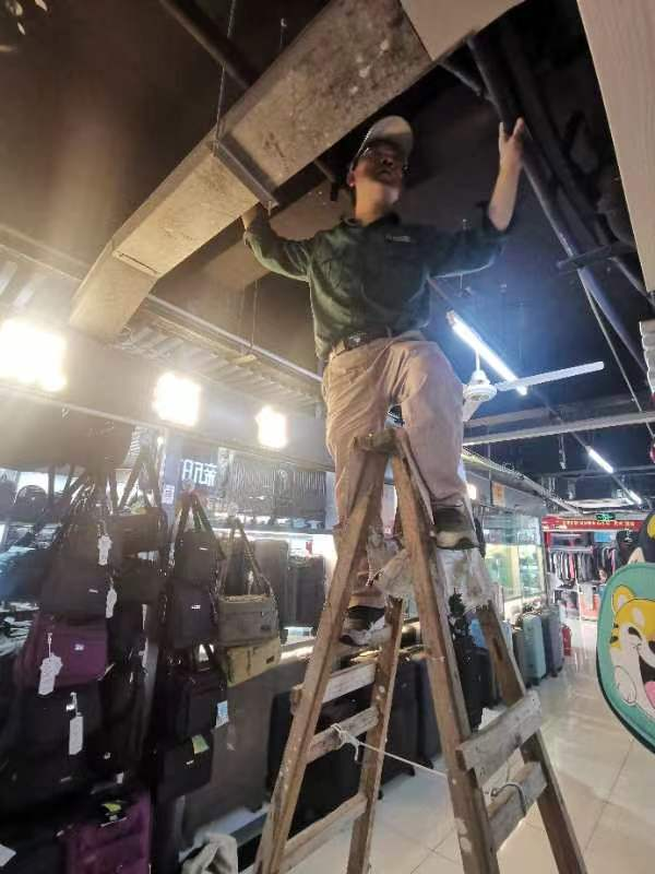 夏季除四害，錢江在行動