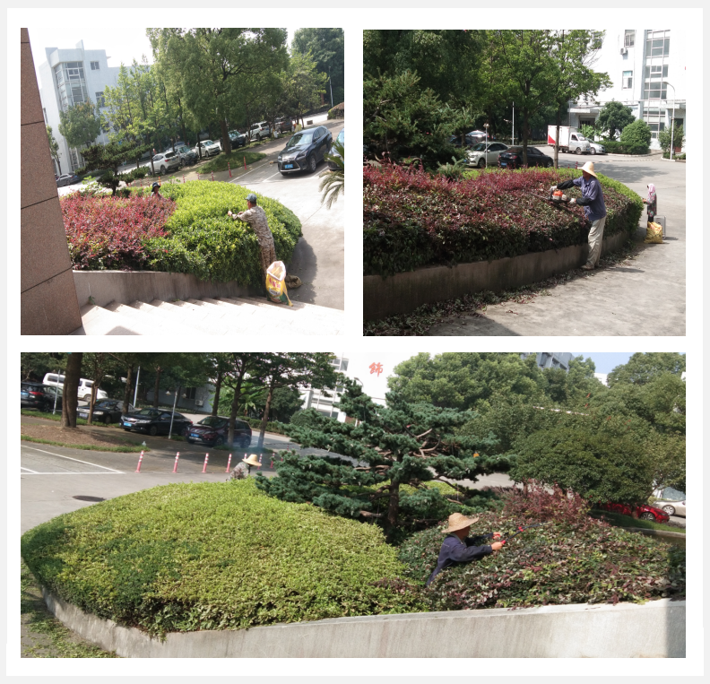 美化綠化，我們?cè)谛袆?dòng)      