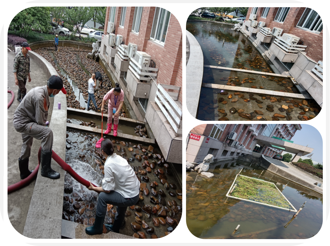 煥然一新，園區(qū)景觀池迎來“大洗之日”