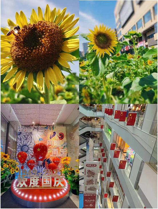 盛世華誕，水晶城喜迎國慶