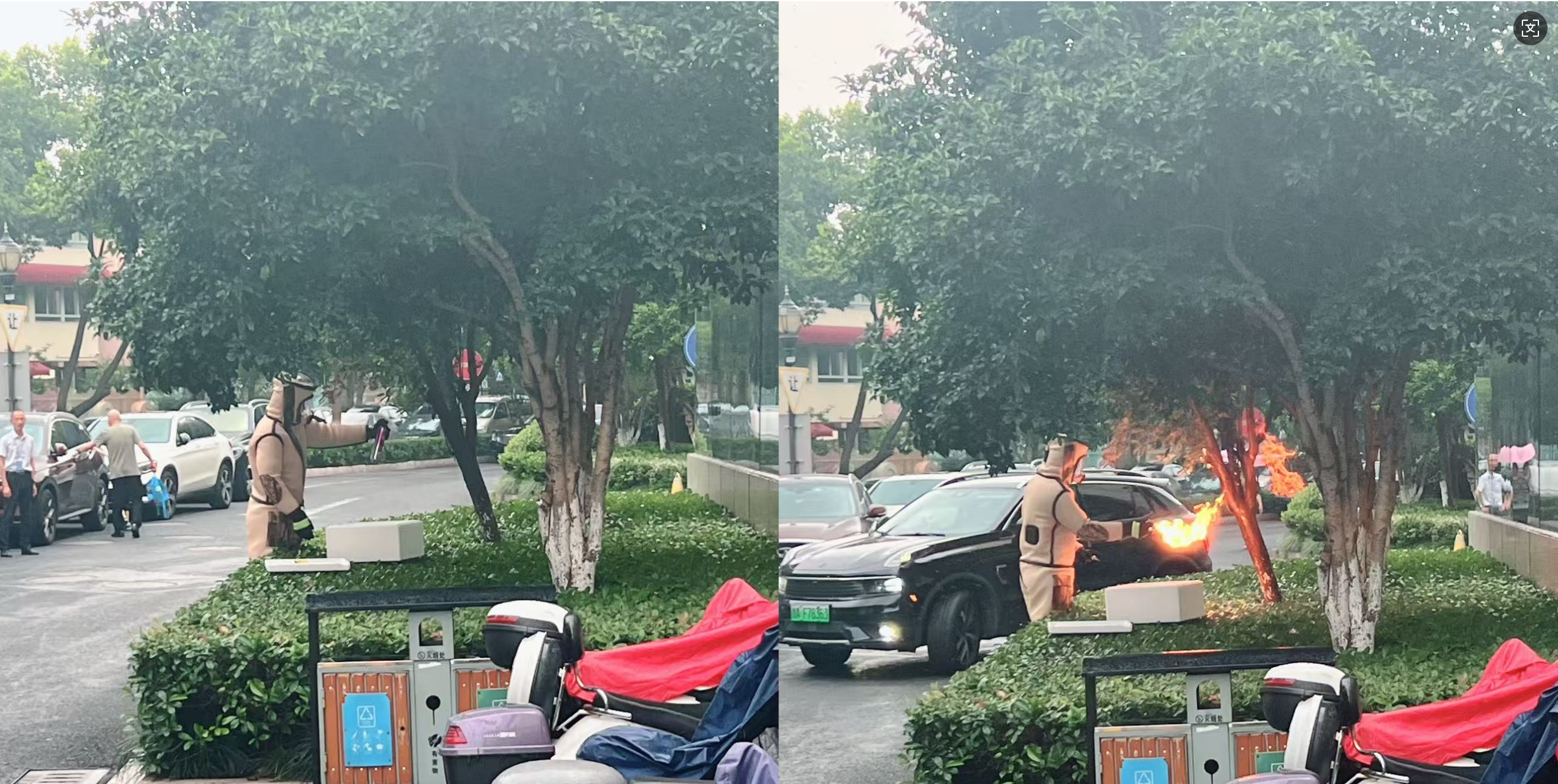 安全守護(hù)零距離,水晶城快速處置外圍蜂群隱患