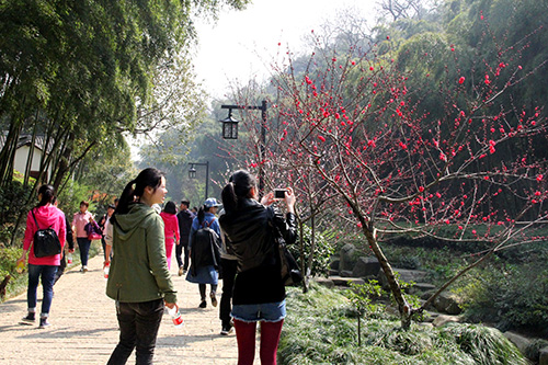 20150329登山活動(dòng) (6).jpg 20150329登山活動(dòng) (6).jpg
