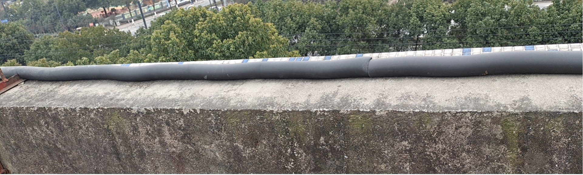 圖片4.png 圖片4.png