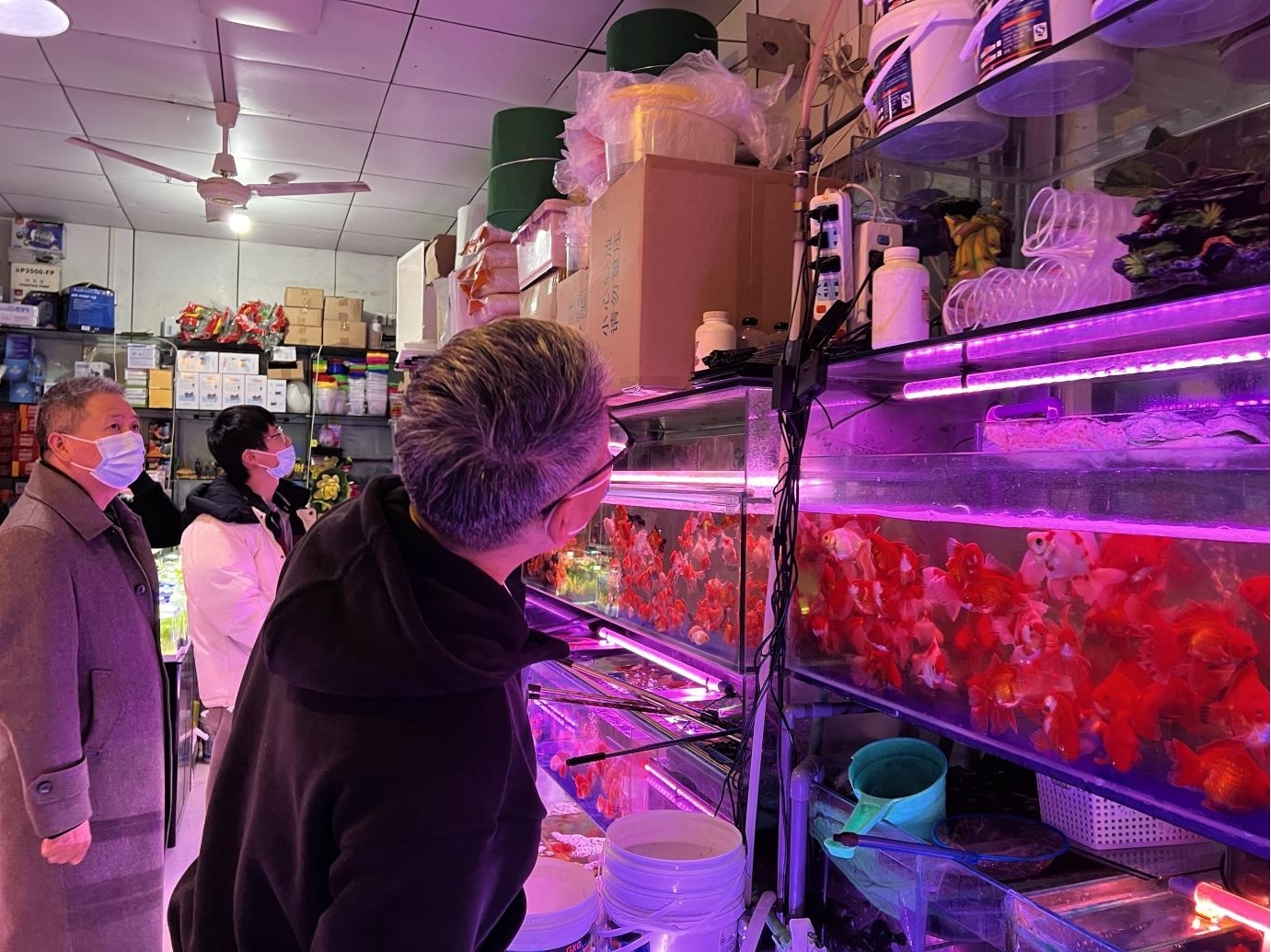 圖片2.jpg 圖片2.jpg