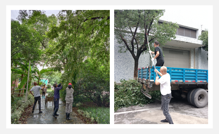 圖片2.png 圖片2.png